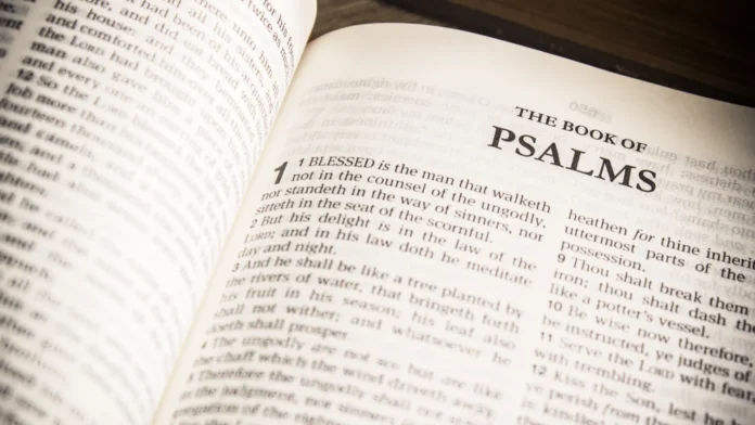 who wrote the book of psalms who wrote the book of psalms