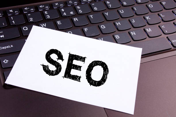 SEO Company in Hisar